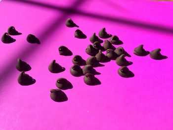 Close-up of object over black background