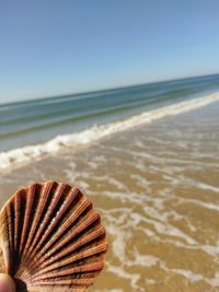 Scenic view of sea against clear sky