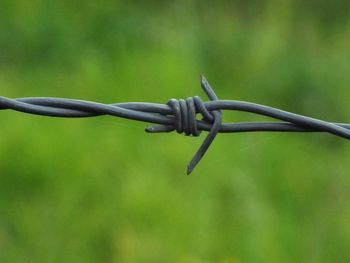 Close-up of barbed wire