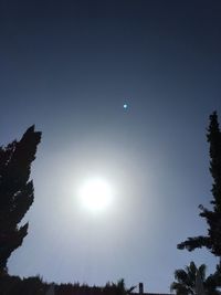 Low angle view of silhouette trees against blue sky