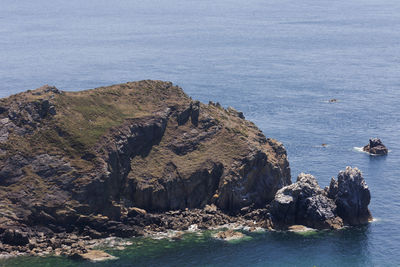 Close-up of lizard on rock by sea against sky