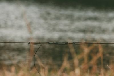 Close-up of barbed wire fence on field