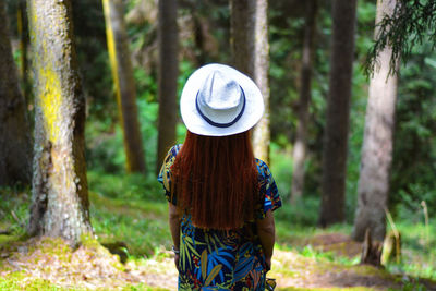 Rear view of woman wearing hat standing against tree trunks in forest