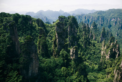 Rock formations at zhangjiajie national forest park