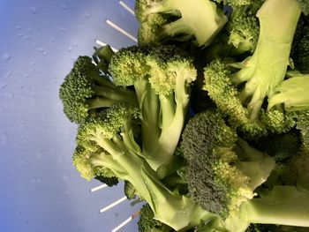 High angle view of chopped vegetables