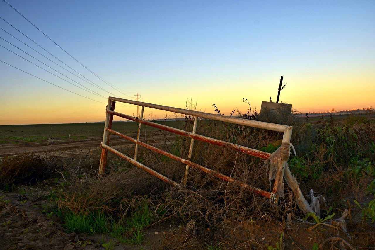 SCENIC VIEW OF FIELD AGAINST CLEAR SKY