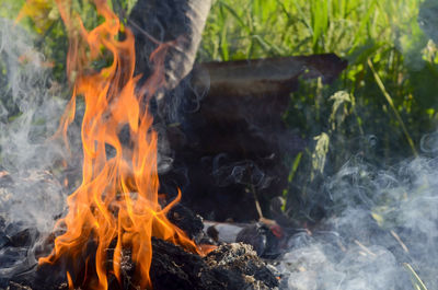 Close-up of bonfire on field