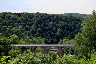 Arch bridge over river against trees. semois, herbeumont,  belgium, aquaduct