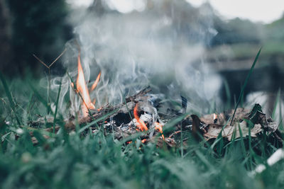 Close-up of bonfire on field