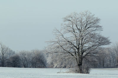 Scenic view of snow covered landscape