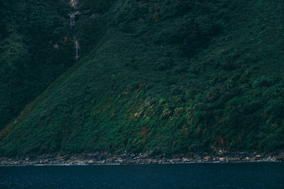 Milford sound  new zealand green cliff