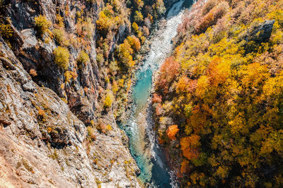 Aerial view of tara river canyon full of colors in autumn in montenegro
