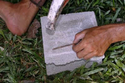 Close-up of hand holding grass