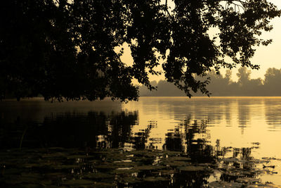 Silhouette trees by lake against sky during sunset