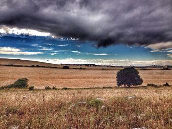 Scenic view of field against cloudy sky