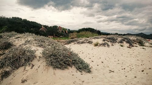 Scenic view of landscape against cloudy sky
