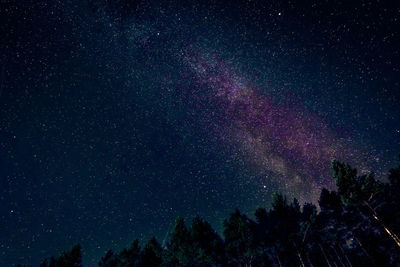 Low angle view of trees against sky at night