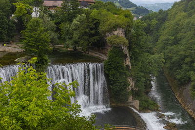 Scenic view of waterfall in forest