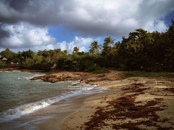 Scenic view of beach against cloudy sky