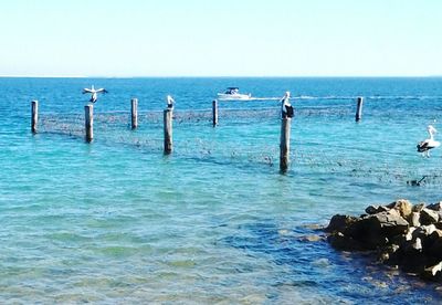 Scenic view of sea against blue sky