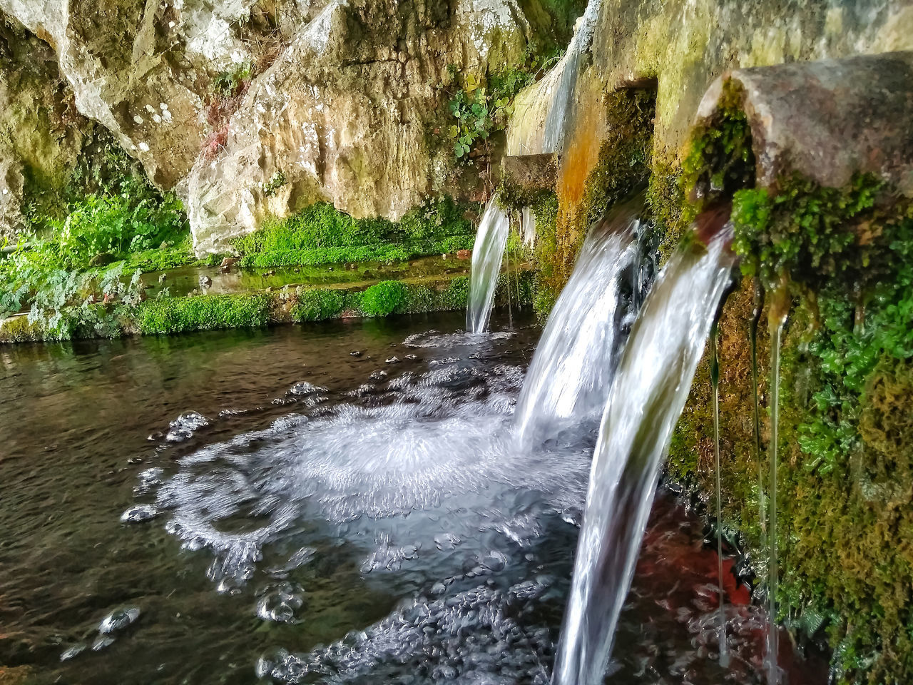 WATER FLOWING OVER ROCKS IN FOREST