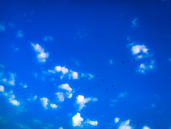 Low angle view of birds flying in sky