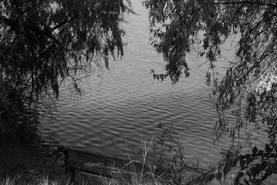 Reflection of trees in lake