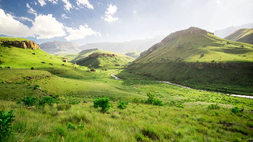 Scenic view of green landscape and mountains against sky