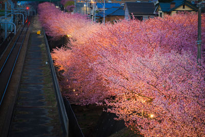 High angle view of railroad tracks during autumn