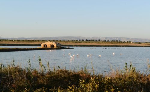 Scenic view of lake against clear sky