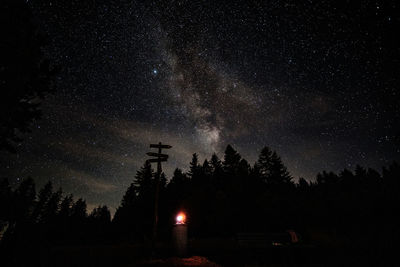 Low angle view of trees against sky at night