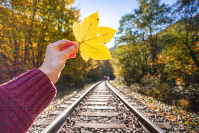 Person holding maple leaf on railroad track