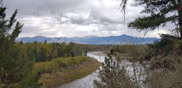 Scenic view of river amidst trees against sky