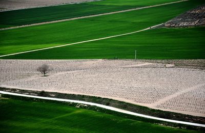 High angle view of field