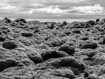 Close-up of sea shore against sky