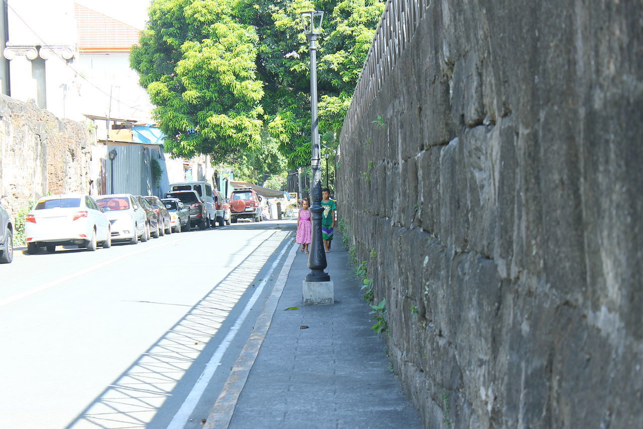 PANORAMIC VIEW OF ROAD AMIDST TREES IN CITY