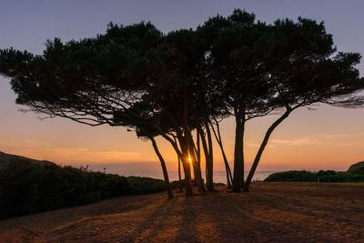 Silhouette trees on landscape against sky during sunset