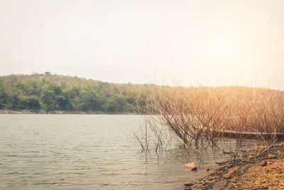Scenic view of lake against clear sky