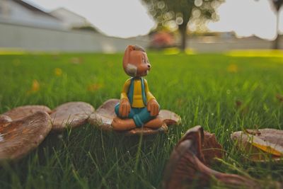 Close-up of baby on field