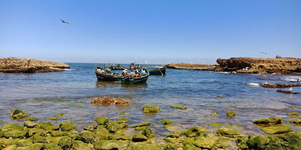 Scenic view of sea against clear sky