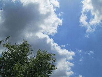 Low angle view of trees against cloudy sky