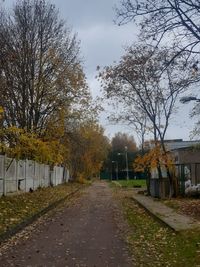 Road amidst trees and buildings against sky