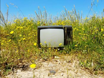 Vintage tv in field