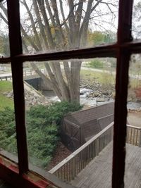 View of trees seen through window