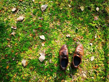 Directly above shot of shoes on grass