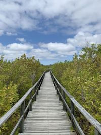 Footbridge amidst trees against sky on isabela island galapagos 