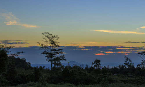 Scenic view of silhouette trees against sky during sunset