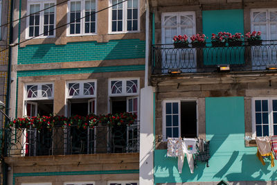 Potted plants on glass window of building