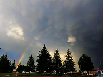 Rainbow over trees against sky