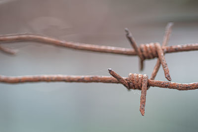 Close-up of a rusty barbed wire fence surrounding a concentration and extermination camp